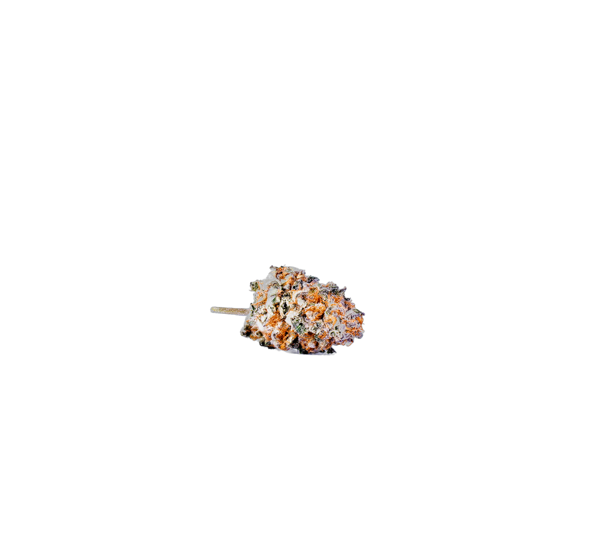 White Widow cannabis flower bud