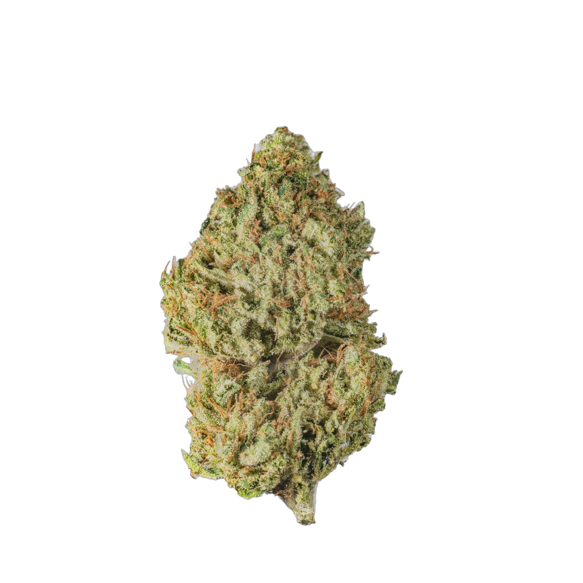 White Widow cannabis flower bud - Cannibisters Limited Collection