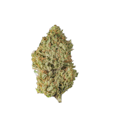 White Widow cannabis flower bud - Cannibisters Limited Collection