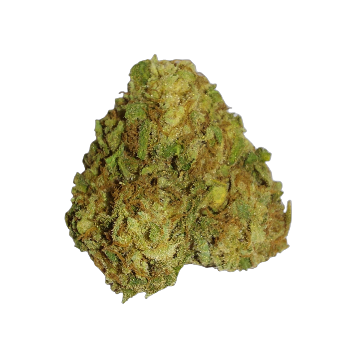 White Widow (Organic Living Soil) cannabis flower bud