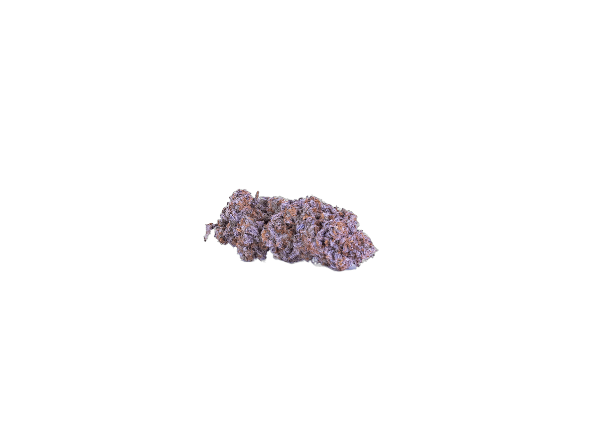 Wopper cannabis flower bud