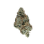 Yum Yum cannabis flower bud