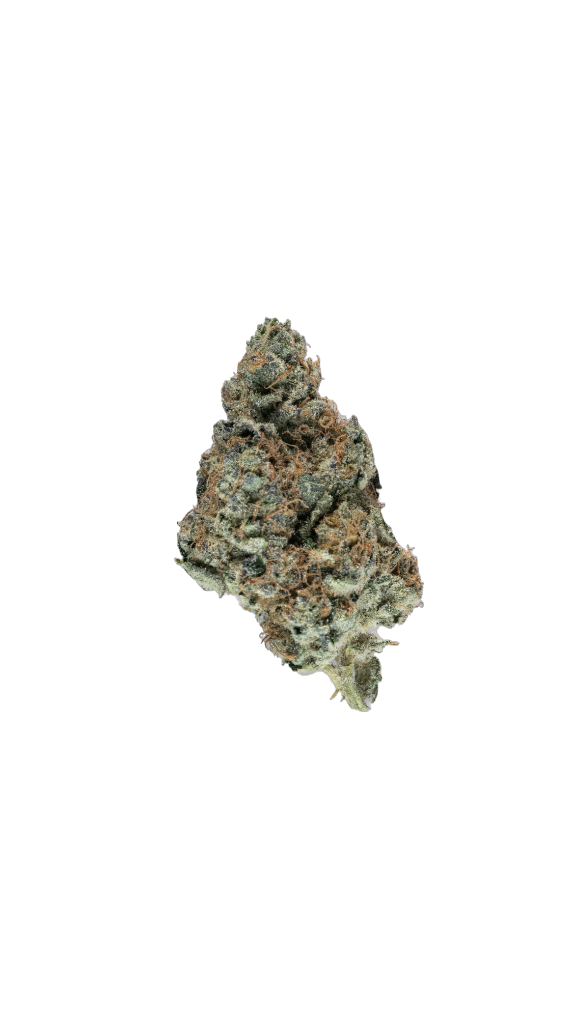 Yum Yum cannabis flower bud