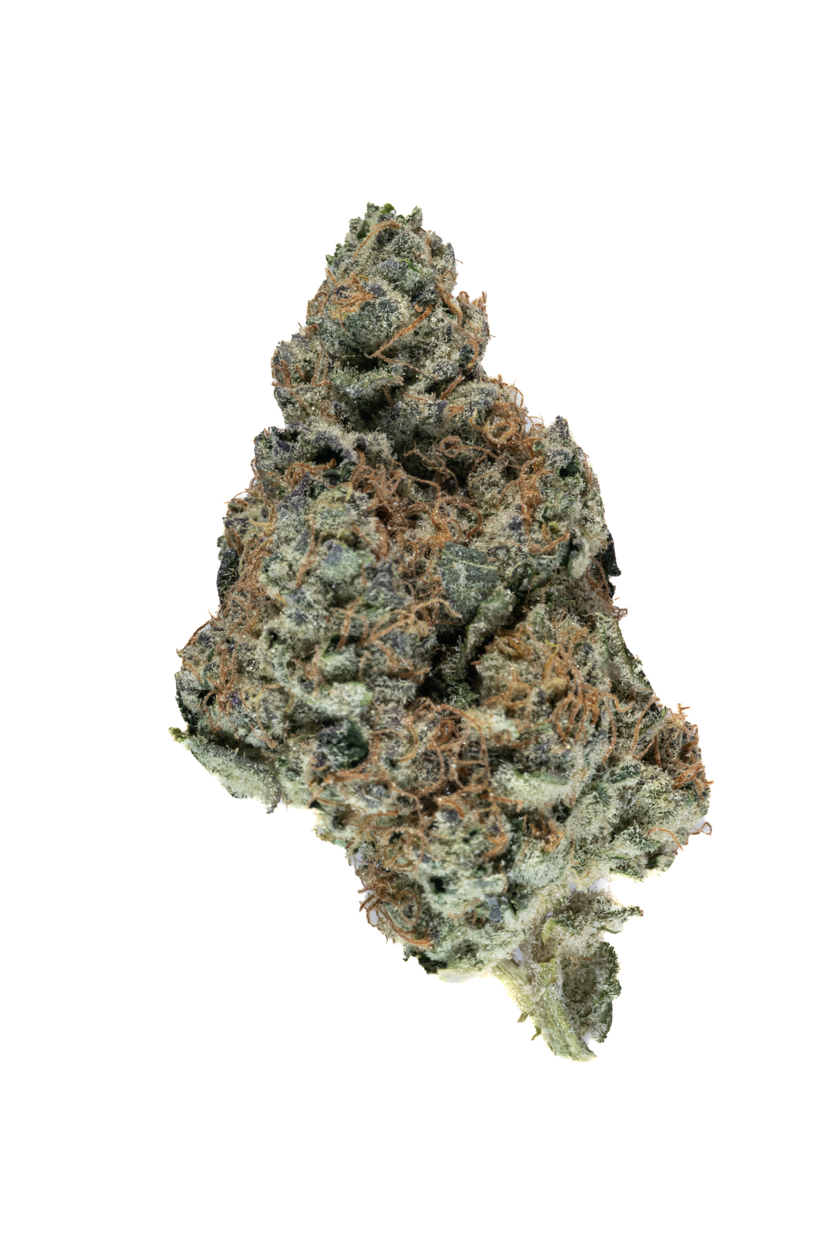 Yum Yum cannabis cannabis | Cannibisters Cape Town