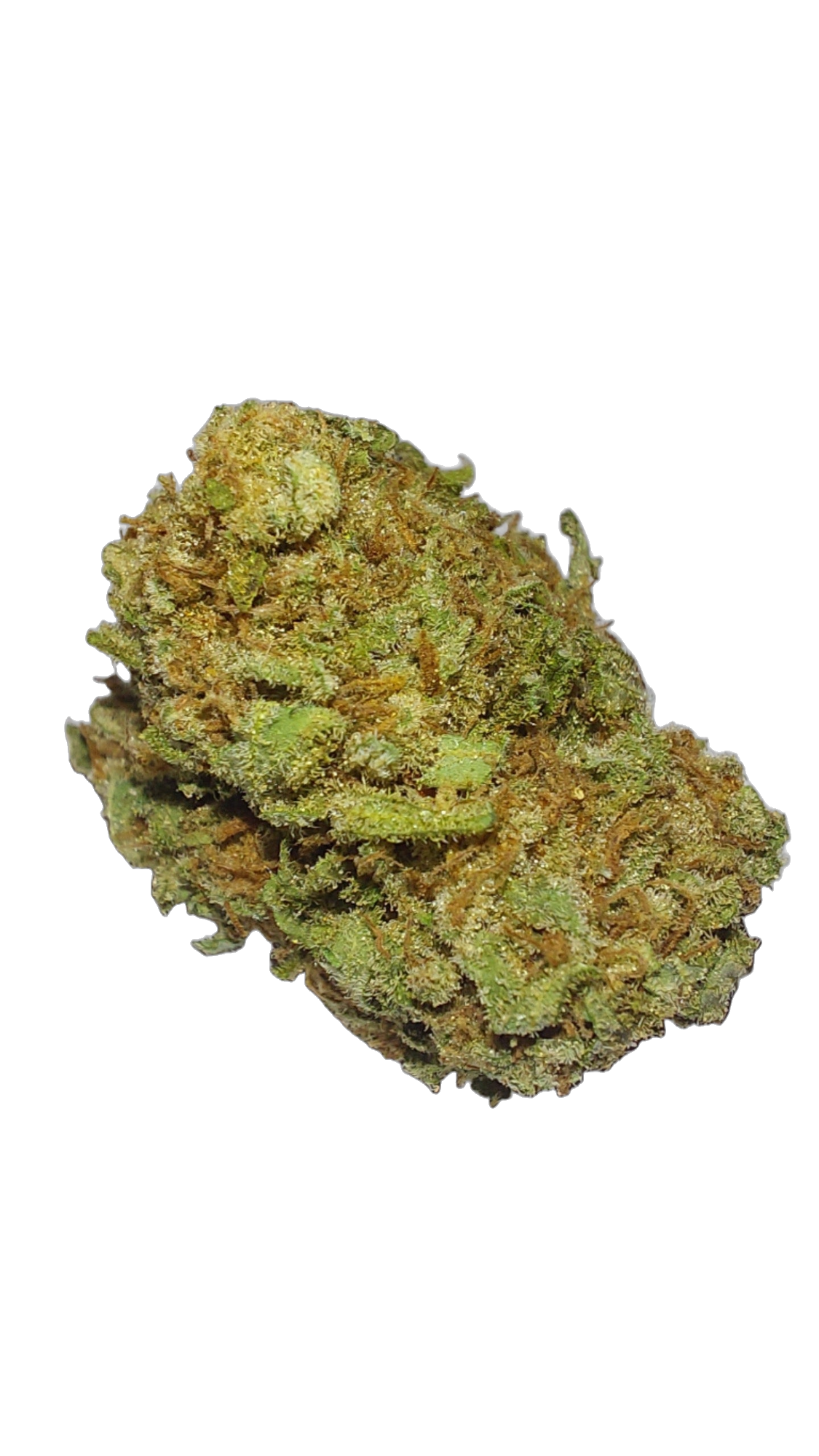 Zurple Punch Living Soil cannabis flower bud