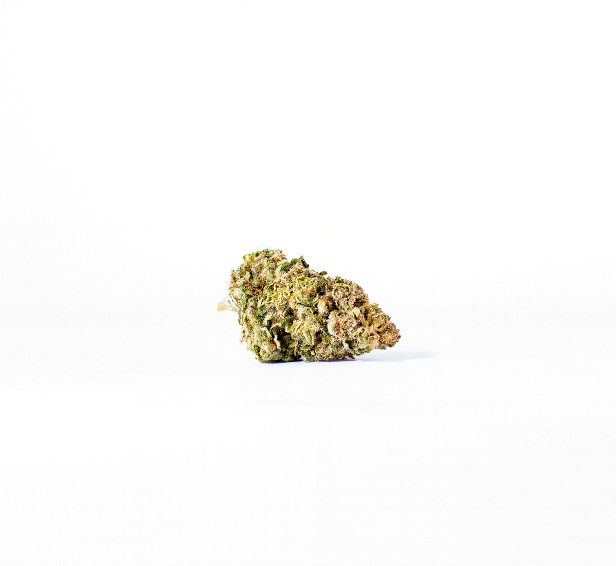 Banana Kush cannabis cannabis strain — buy online Cape Town | Cannibisters