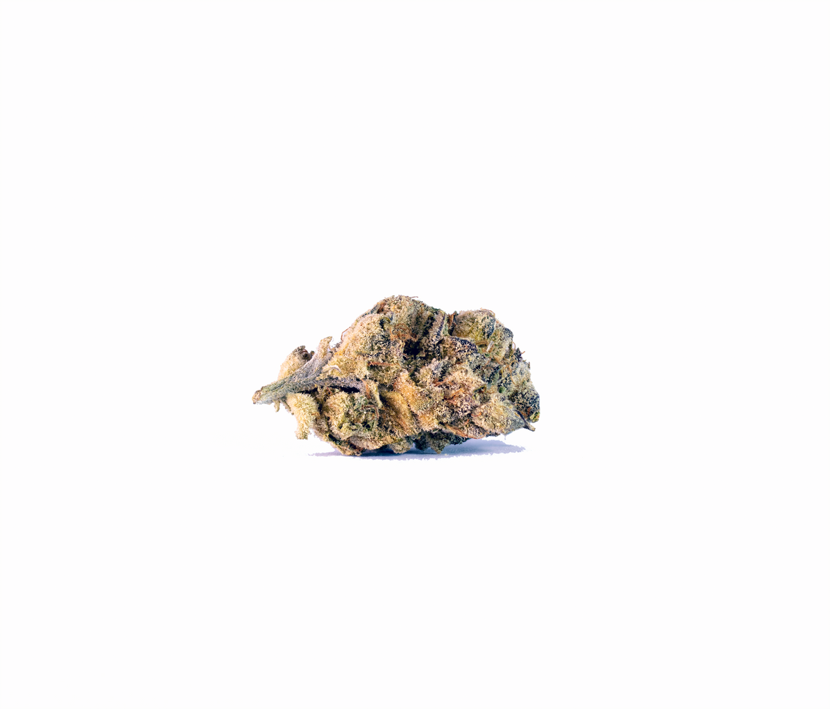Berry OG cannabis cannabis strain — buy online Cape Town | Cannibisters