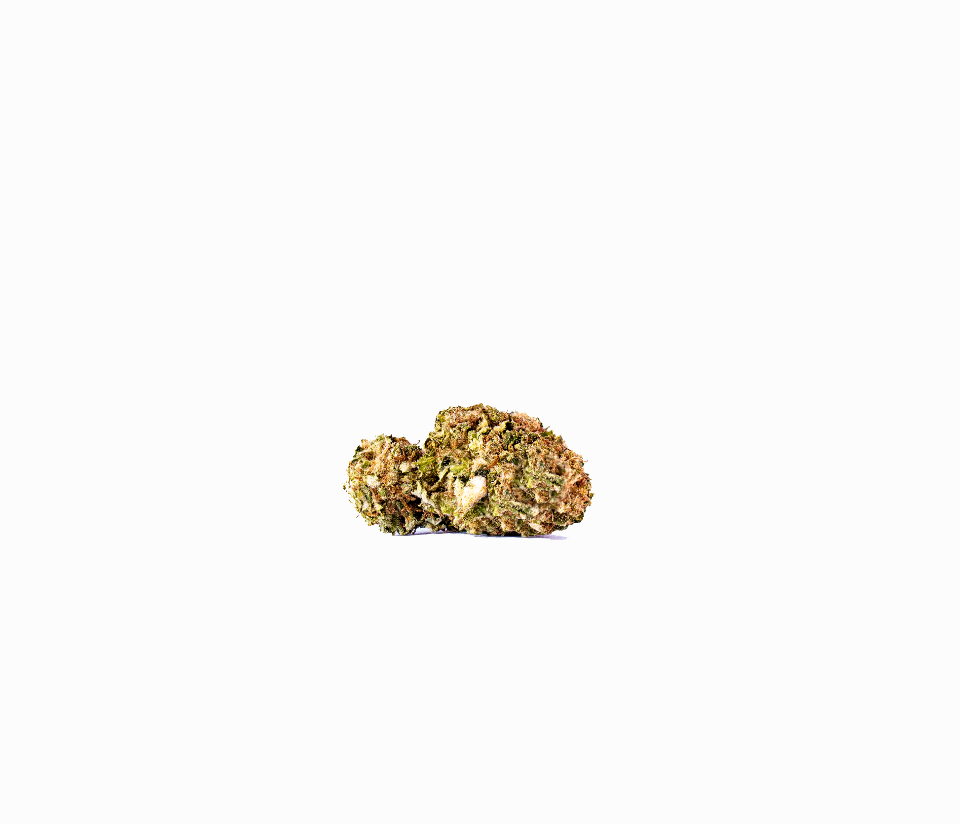 Cannibisters House Strain cannabis cannabis strain — buy online Cape Town | Cannibisters