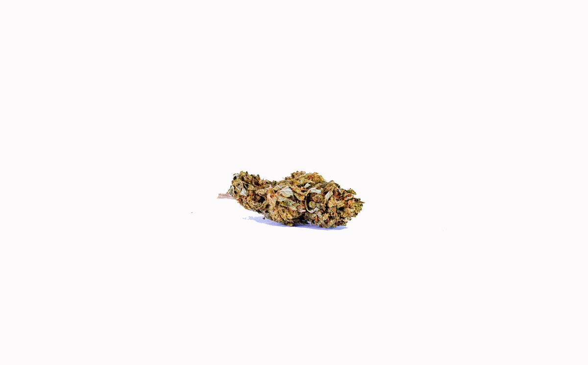 Critical Mass cannabis cannabis strain — buy online Cape Town | Cannibisters