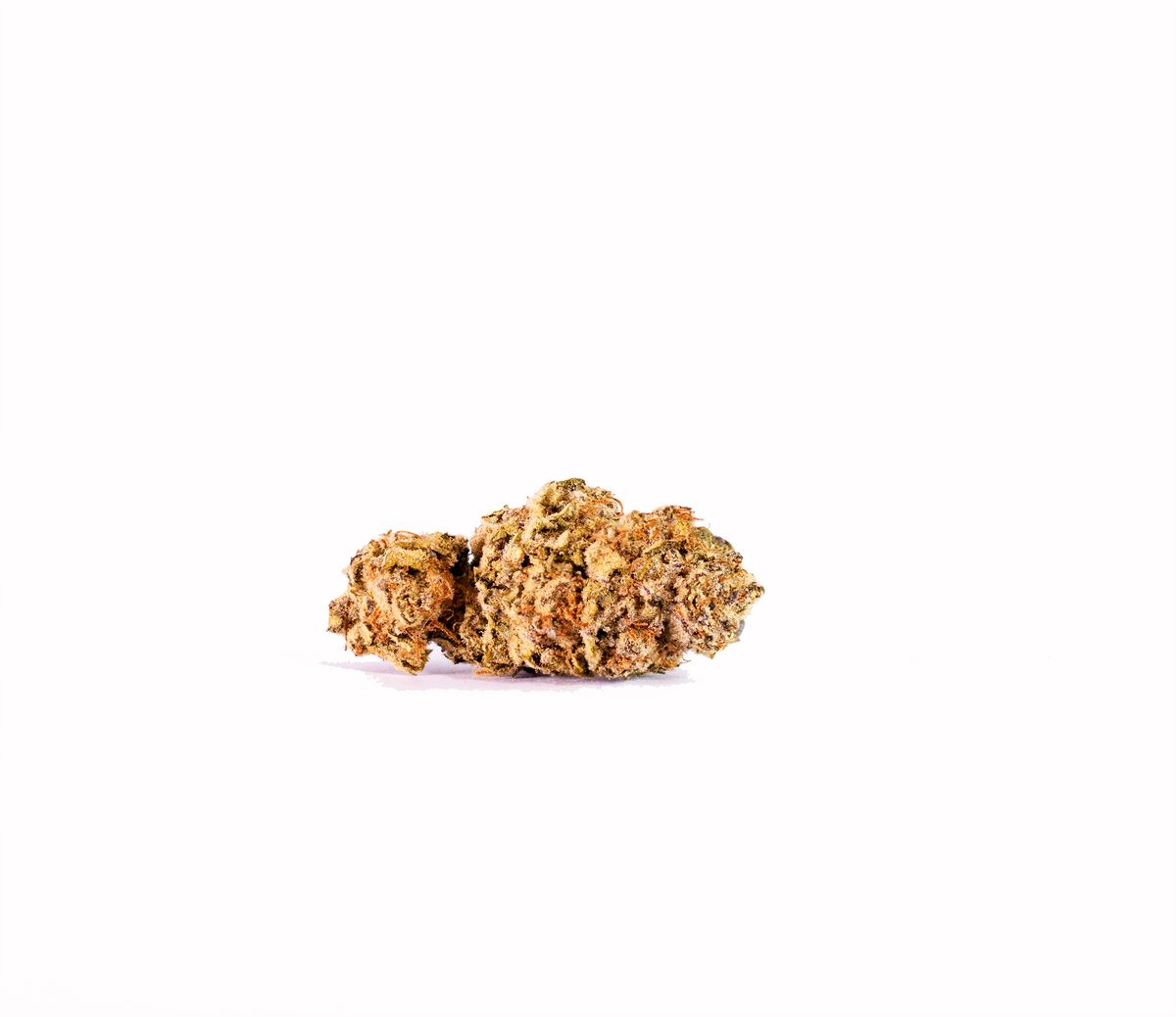 Ghost Cookies hybrid cannabis strain — buy online Cape Town | Cannibisters