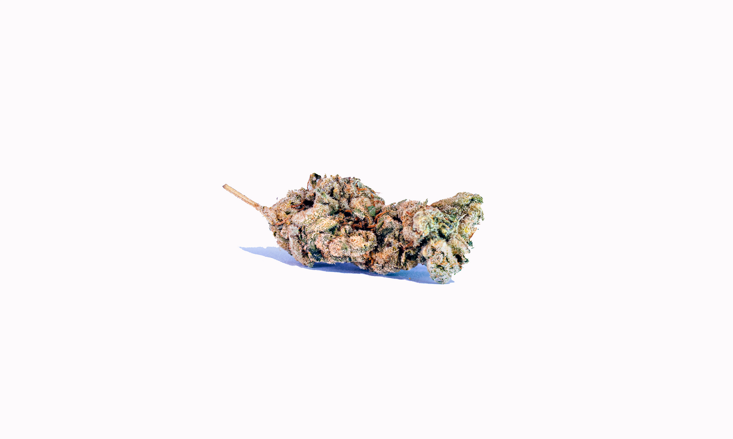 Kush Breath cannabis cannabis strain — buy online Cape Town | Cannibisters