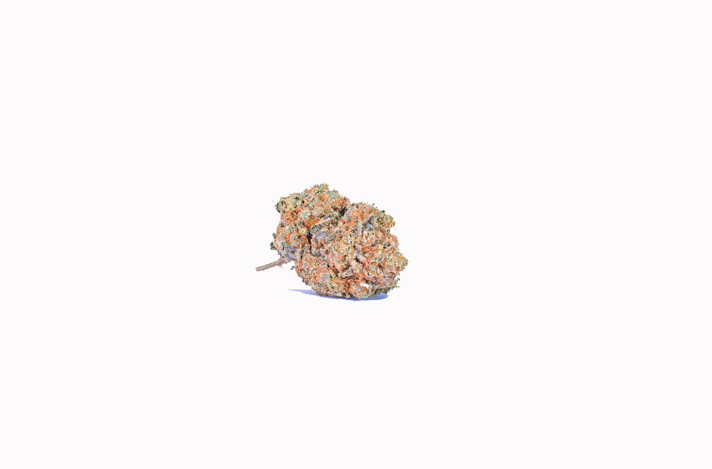 Orange Punch indica cannabis strain — buy online Cape Town | Cannibisters