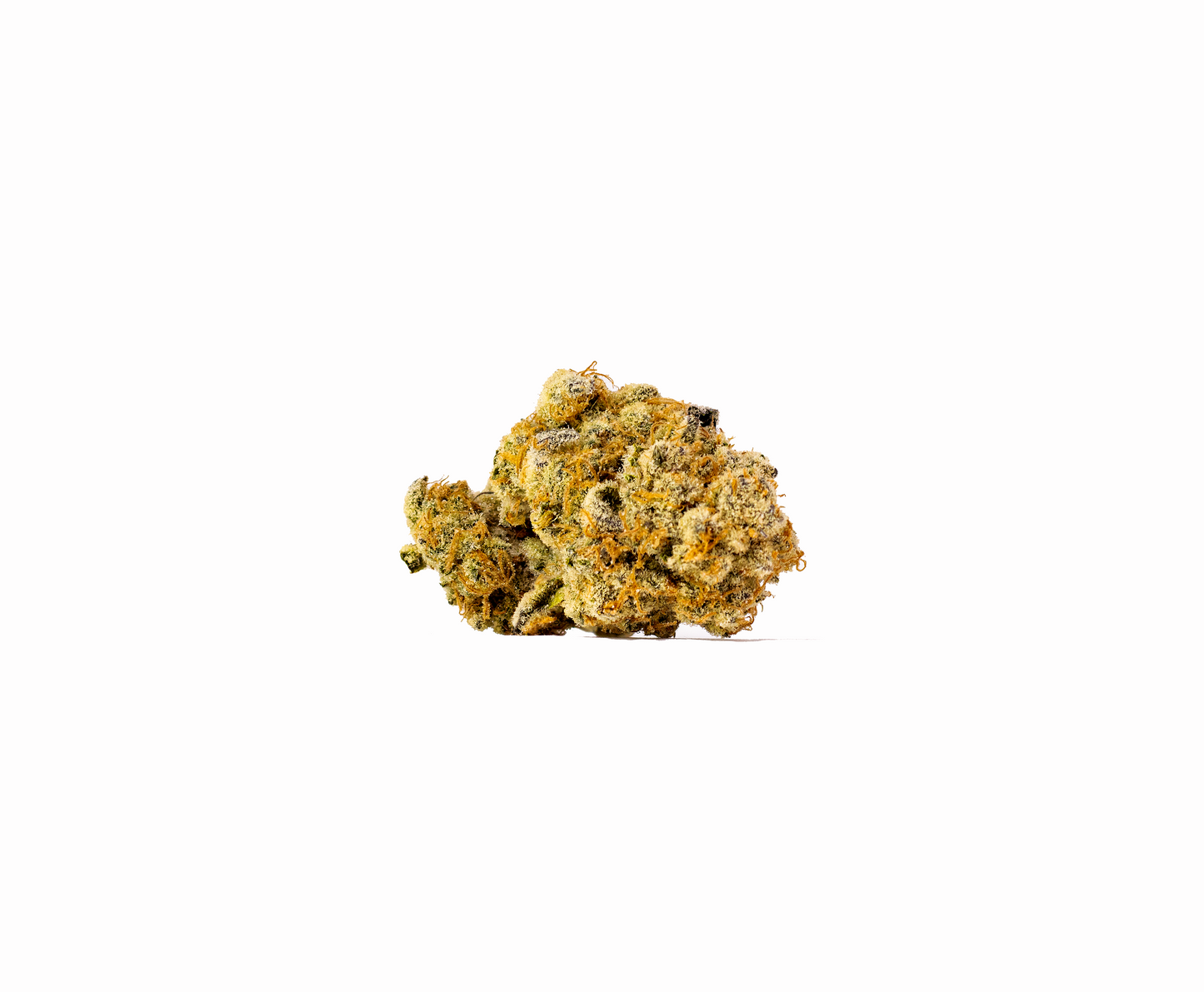 Platinum Kush hybrid cannabis strain — buy online Cape Town | Cannibisters