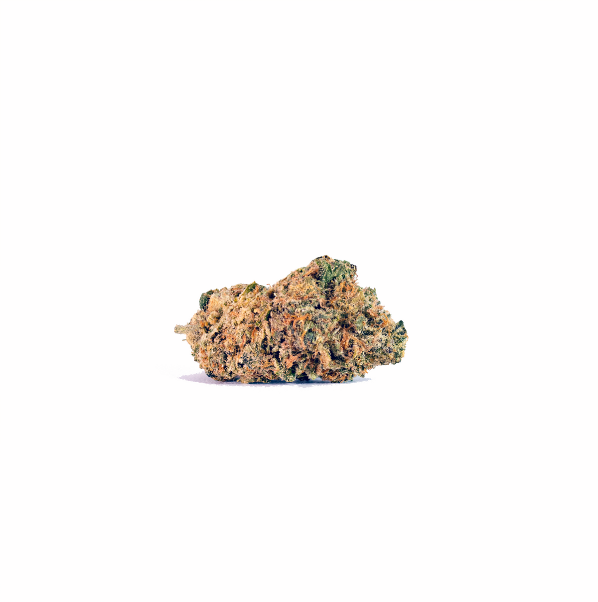 Sangria Slushy hybrid cannabis strain — buy online Cape Town | Cannibisters