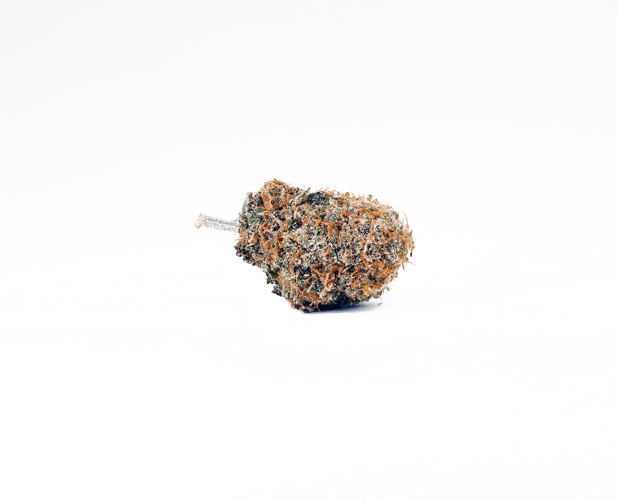 Squirt sativa cannabis strain — buy online Cape Town | Cannibisters