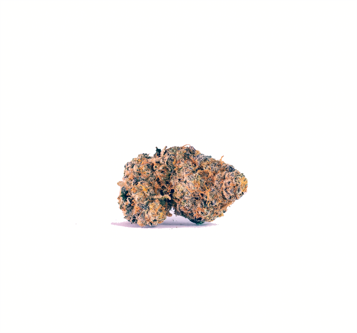 Sugar Cane hybrid cannabis strain — buy online Cape Town | Cannibisters