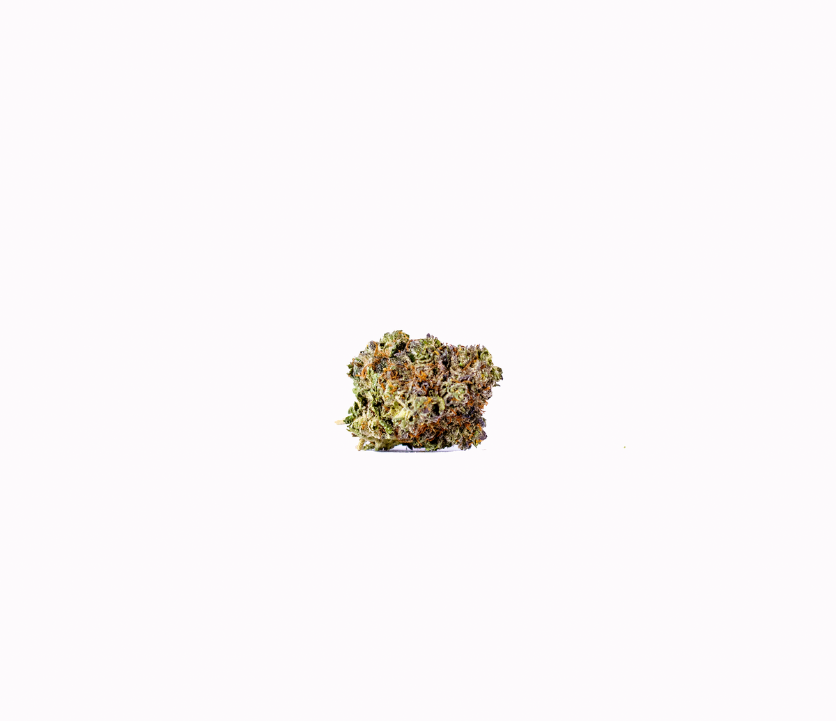 Two Scoops hybrid cannabis strain — buy online Cape Town | Cannibisters