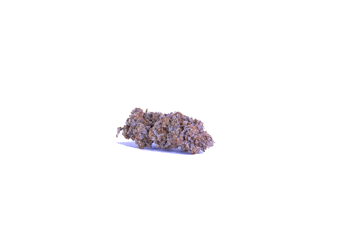 Wopper indica cannabis strain — buy online Cape Town | Cannibisters